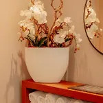 Hotel Stadthotel 4*