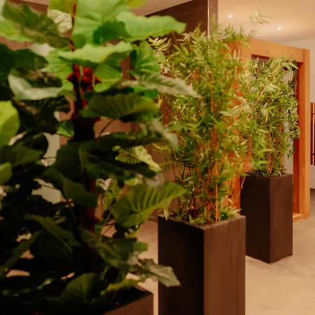 Stadthotel By Hackmann בורקן