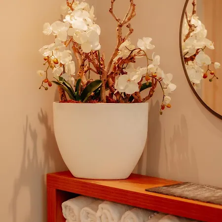 מלון Stadthotel By Hackmann 4*