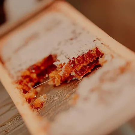 Stadthotel By Hackmann