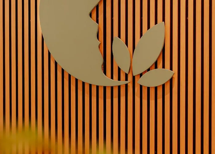 فندق Stadthotel By Hackmann بوركن