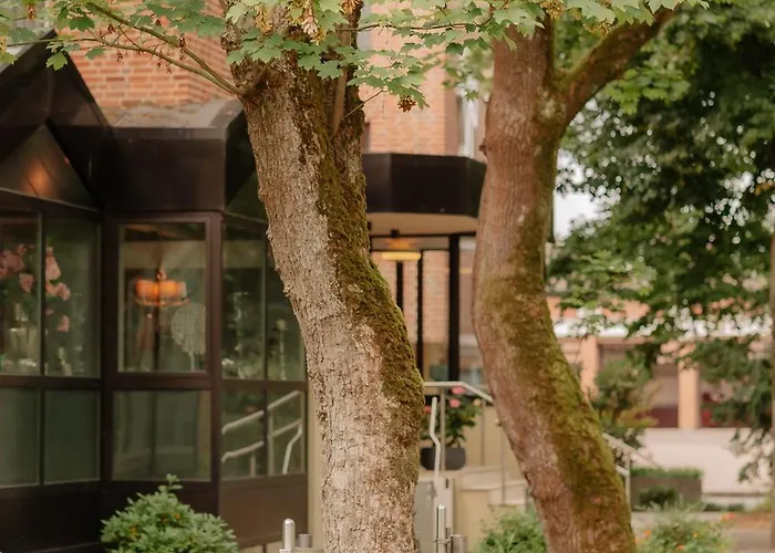 Szálloda Stadthotel By Hackmann Borken