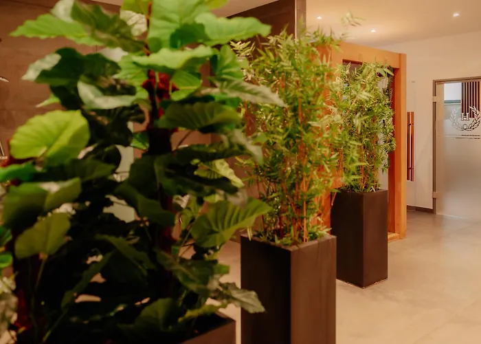 Stadthotel By Hackmann בורקן