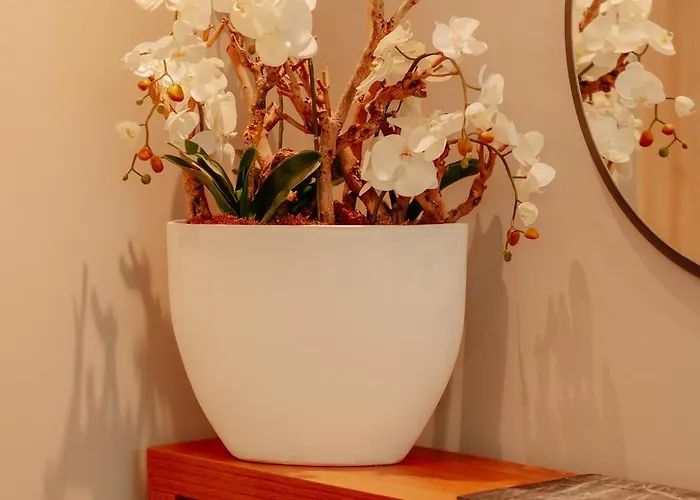 Otel Stadthotel By Hackmann 4*