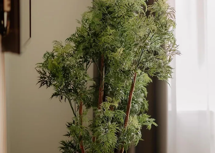 Stadthotel By Hackmann 4* Borken